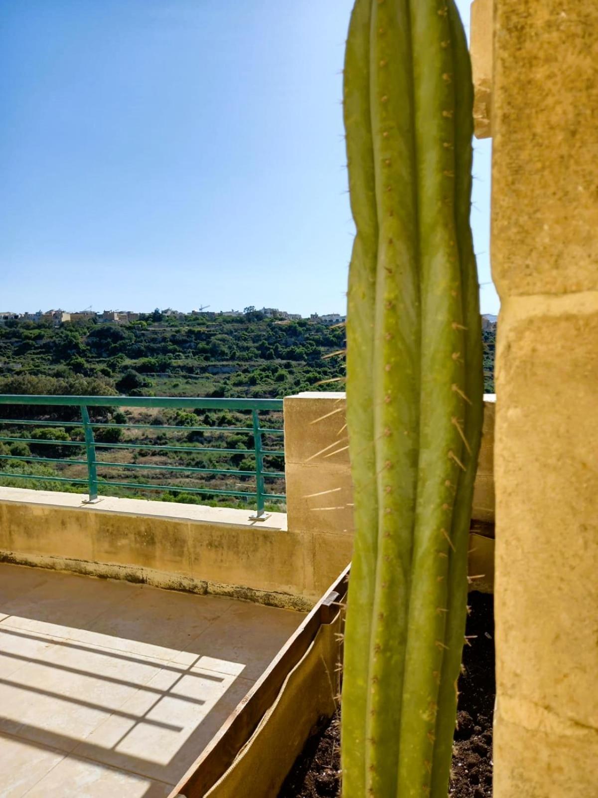 ホテル Paradise Gardens Xagħra エクステリア 写真